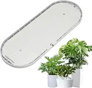 Oimzzr Grow Light Full Spectrum 10W 2H/4H/8H Timer 4 Dimmable Levels Plant Lights for Indoor Pl Flower lings Vegetable Pepper Hanging Growing Lamps