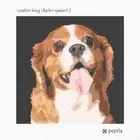 Cavalier King Charles Spaniel 2 Needlepoint Kit or Canvas