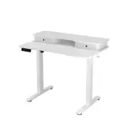 Costway Electric Standing Desk Height Adjustable Stand Up Desk with 2 Drawers...