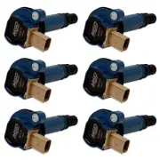 825765 MSD Set of 6 Ignition Coils for F150 Truck Ford F-150 Flex Taurus 10-15 (for: Ford)