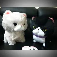 在飛比找蝦皮購物優惠-Amuse貓系列 超大 玩偶娃娃 日本空運正版 40公分