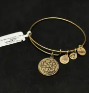 Alex And Ani Women’s Charm Bracelet Because I Love You Mom Rafaelian Gold Tone