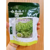 在飛比找蝦皮購物優惠-城禾農產🍃 綠麒麟萵苣種子 50克 萵苣種子 綠火焰萵苣種子