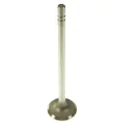 Engine Valve Melling V0691