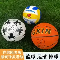 在飛比找樂天市場購物網優惠-免運+開發票 籃球足球排球兒童球感統體能訓練球類組合器材體育