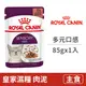 【法國皇家 Royal Canin】皇家饗宴主食濕糧SFW 85克【多元口感】(1入)(貓主食餐包)