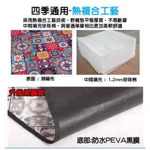 【台灣現貨】舒絨款 防水帳棚內墊 野餐墊 升級黑膜 200x200 300x300 帳篷內地墊 防潮墊 帳篷地墊