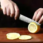 Utility Knife 67 Layers Damascus Steel Resin Wood Handle Slicing Paring Peeling