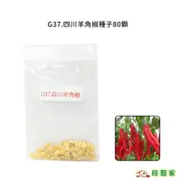 在飛比找蝦皮購物優惠-G37.四川羊角椒種子80顆(一般辣 )果菜類種子【綠藝家】