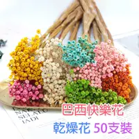 在飛比找蝦皮購物優惠-【台灣現貨】巴西快樂花 巴西小菊 繁星花 乾燥花 小菊花束 