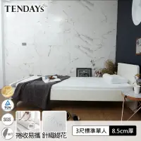 在飛比找momo購物網優惠-【TENDAYS】DS柔眠床墊3尺標準單人(晨曦白 8.5c