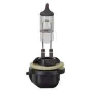 Wagner BP898 Wagner Lighting Bp898 Standard Multi Purpose Light Bulb Card Of 1