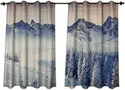Anshesix Nature Outdoor Ultraviolet Protective Curtains Snowy Winter Dramatic Overcast Sky Wonderland Snowfall Seasonal Panorama Print W63 x L63(160cm x 160cm)