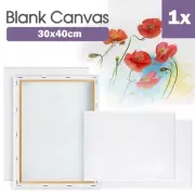 1x Blank Art Supply Professional Quality Stretched Canvas White Acrylic Paint