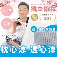 在飛比找momo購物網優惠-【寶媽咪】謝祖武3000透氣孔獨立筒枕頭買1送1(下殺單顆不