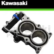 NEW 2018-2023 OEM KAWASAKI NINJA 400 Z400 Z 400 ENGINE CYLINDER 11005-0744