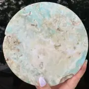 Caribbean Calcite Plate