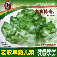 在飛比找蝦皮購物優惠-種子 四川早熟兒菜種籽娃娃菜抱子芥菜特大高產秋冬農家大田蔬菜