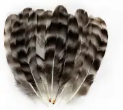 15PCS Natural Pheasant Feathers 5.9-7.8Inch Wild Turkey Spotted Feather for Craf