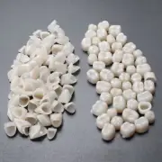 130X Teeth Set Resin Dental Temporary Crown Anterior Front & Back Tooth Molar