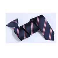 在飛比找PChome24h購物優惠-【拉福】領帶窄版領帶6cm拉鍊領帶(藍紅紋)