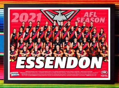 Framed 2021 ESSENDON BOMBERS AFL Poster - 45cm x 32cm x 3cm