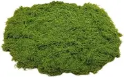 100g Fake Moss for Crafts,Fake Moss Artificial Moss Simulated Moss Turf Artificial Moss Reindeer Moss Landscape Moss Synthetic Moss Artificial Moss for Planters ﻿ (Light Green)