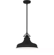 DSI 1-Light Earth Black Pendant with Metal Shade 1006106529 New