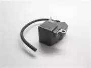 Genuine echo Part COIL, IGNITION A411000031