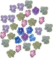 ORFOFE 30pcs Pressed Flowers Real Dried Flowers for DIY Scrapbooking Decoration Phone Case Design and Art Crafts for Creative Projects