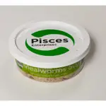 Pisces Live Mealworms - 100g