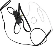 BESPORTBLE 1 Set Lizard Harness Kit Reptile Leash for Bearded Dragons Geckos Amphibians Lightweight Durable Design for