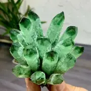 355G New Find green PhantomQuartz Crystal Cluster MineralSpecimen