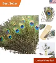 Vibrant Peacock Feathers - 200 pcs 10-12 Inch for Weddings & Halloween Crafts