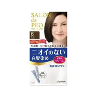 在飛比找蝦皮購物優惠-【樂町日貨】日本代購 日本DARIYA 塔莉雅 Salon 