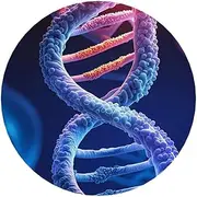 DNA Genetic Helix Acrylic Fridge Magnets Round Magnetic Refrigerator Sticker Funny Cute Refrigerator Decorative Magnets for Fridge Office Whiteboard Kitchen Cabinets Locker
