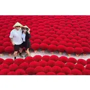 Save 5.00%! From Hanoi: Private Day Trip to Incense Village, Hoa Lu & Tam Coc