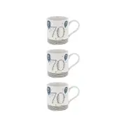 3PK Gibson Gifts Rush Birthday Men 70th Mug R Drinking Water/Juice Cup w/ Handle