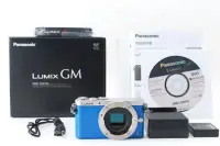 在飛比找Yahoo!奇摩拍賣優惠-PANASONIC LUMIX DMC-GM1 最小相機