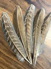 5pcs Natural Pheasant Feathers 12-16cm DIY Art Craft Millinery Smudge Fan