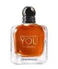 100ml You Intensley Original Perfume for men
