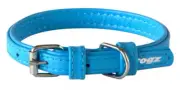 *CLEARANCE* Rogz Leather Buckle Collar Extra Large (46-60cm) [Colour: Turquoise]