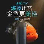 【氵氵水族 電壓110-240V】 吉印爆藻燈LED金魚缸專用燈全光譜蘭壽防水藻缸燈專業魚缸金魚燈