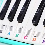 Universal Piano Learner Stickers Music Piano 37/32/ 27 Key Note Keyboard