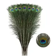10pcs/lot Natural Peacock Feathers for Diy Craft Wedding Holiday Decorationn Hom