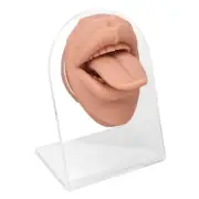 Human Tongue Model Soft Silicone Lifelike Acrylic Stand Mouth Model For Jewe MGR