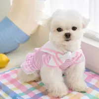 在飛比找蝦皮商城優惠-藍色尾巴-水手涼感cool 俏皮裙-Pink粉紅-韓國It’