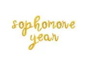 SOPHOMORE YEAR Cursive Letter Balloon Banner - Sophomore Year Party Decorations