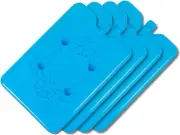 Home Master Ice Bricks, Reusable and Long-Lasting Ice Packs for Coolers, Lunch B