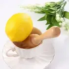 Cone Shape Manual Fruit Juicer Citrus Reamer Lemon Squeezer Kitchen Tools